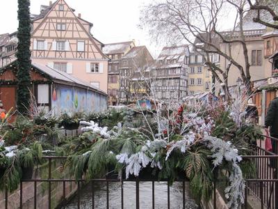 IMG_5785 (Large).JPG