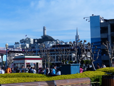 P1010038.JPG