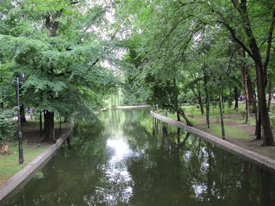 IMG_3579 (Medium) (2).JPG