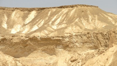 IMG_0749 (Large).JPG