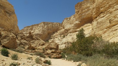 IMG_0354 (Large).JPG