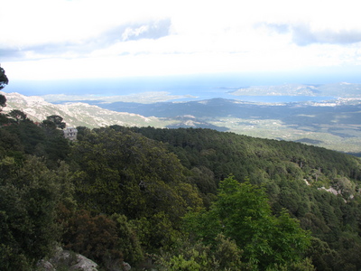 IMG_8377.JPG