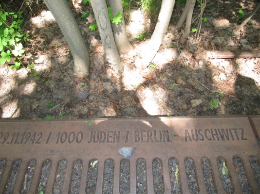 IMG_6541 (Large).JPG
