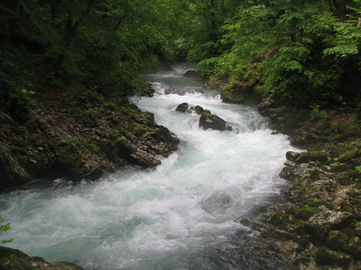 224.JPG