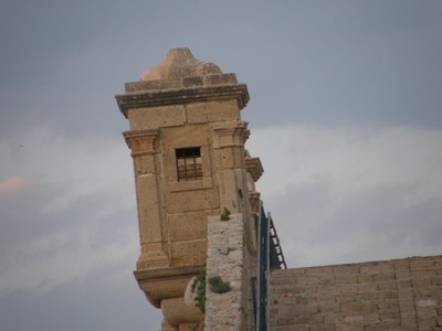 P2240563 (Large).JPG