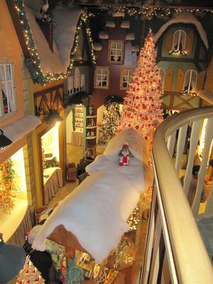 IMG_5849 (Large).JPG
