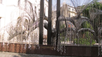 IMG_8310.jpg