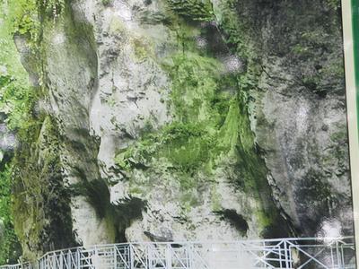 IMG_4952 (Large).JPG