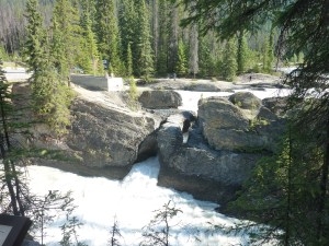 Yoho Park: Natural Bridge