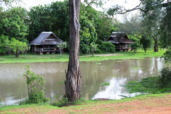 זמביהZambia לודג lodge