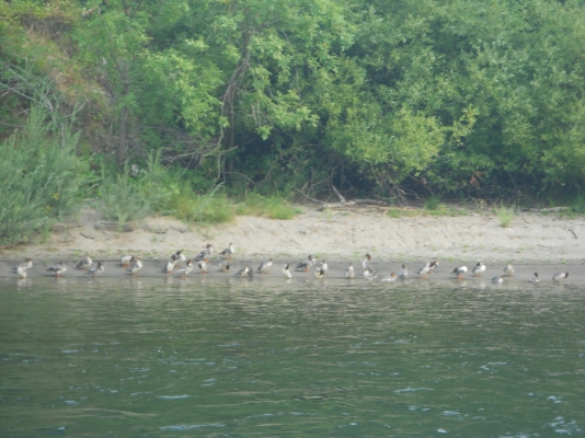 DSCN0682