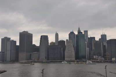 DSC_1427.JPG