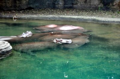 DSC_0141.JPG