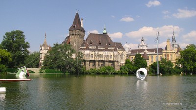 IMG_8683.jpg