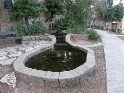 P4080477 (Large).JPG