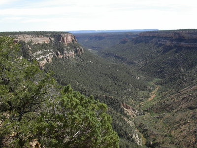 Navajo Canyon מ- Mesa Verde