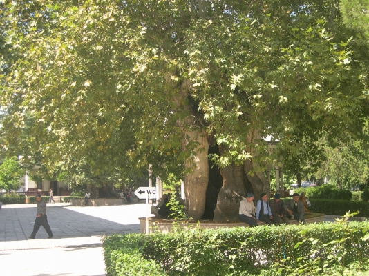 DSCN0055.JPG