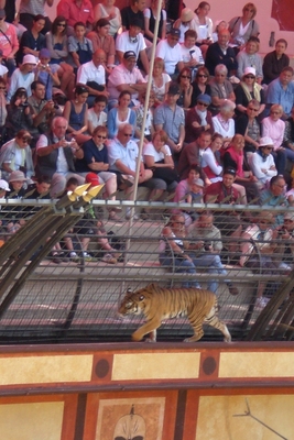PO20110706_0214.JPG
