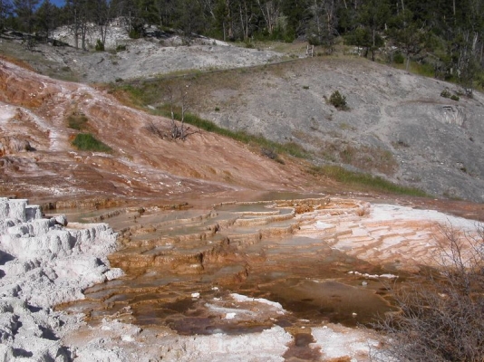 Mammoth Hot Springs