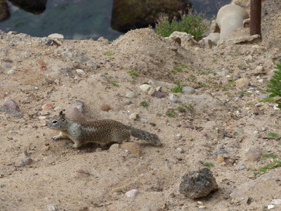 P1000762.JPG