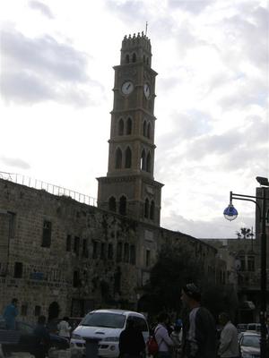 P2240524 (Large).JPG