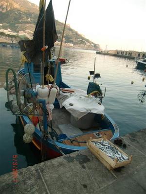 CIMG4113 (Medium).JPG