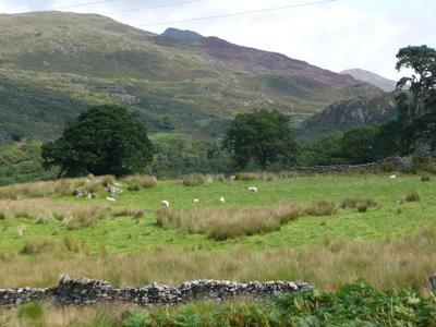 Snowdonai2