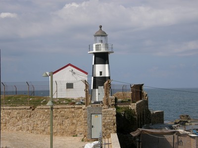 P2250715 (Large).JPG