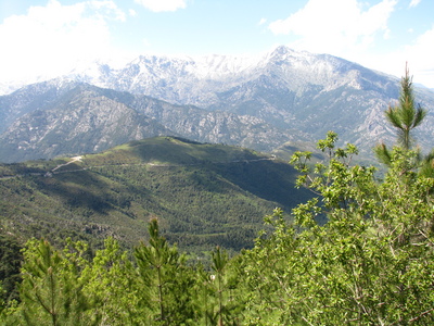 IMG_8187.JPG