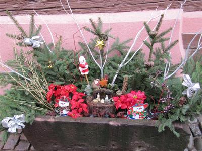 IMG_5966 (Large).JPG