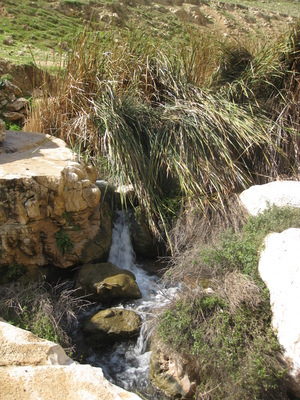 נחל פרת נקודת חמד