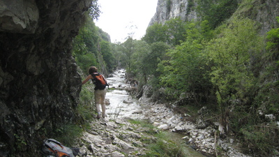 IMG_5884.JPG