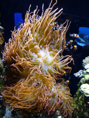 P1020683.JPG