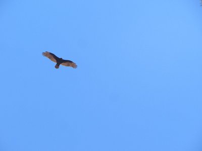 IMG_8337.JPG