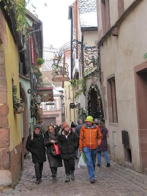 IMG_5823 (Large).JPG