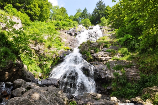 DSC_0490.JPG