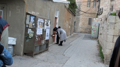 IMG_0217 (Large).JPG
