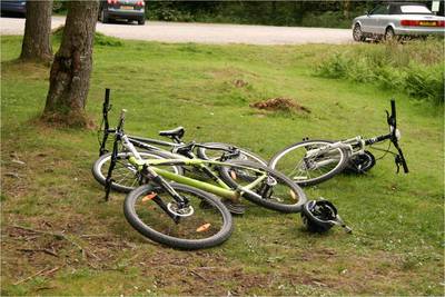 Grizedale