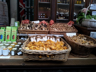 20130426_122120.jpg