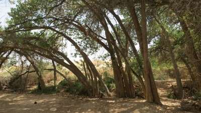 IMG_0765 (Large).JPG