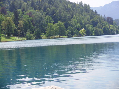 176.JPG