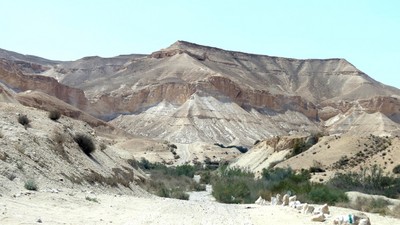 IMG_0735 (Large).JPG
