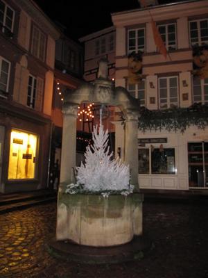 IMG_3920 (Medium).JPG
