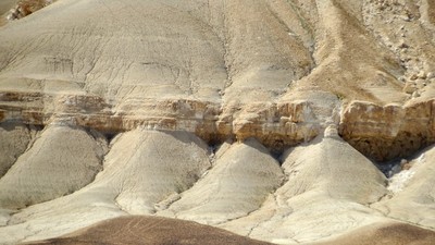 IMG_0678 (Large).JPG
