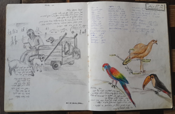 20130913_180921.jpg