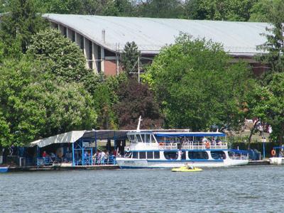 IMG_3610 (Medium).JPG