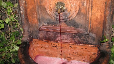 IMG_9405.jpg