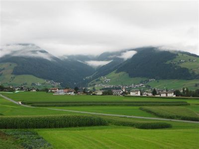 IMG_1131.jpg