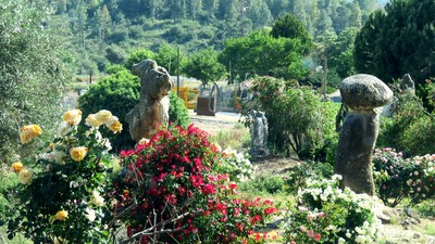 IMG_0672 (Large).JPG