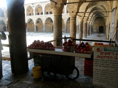 P2250682 (Large).JPG